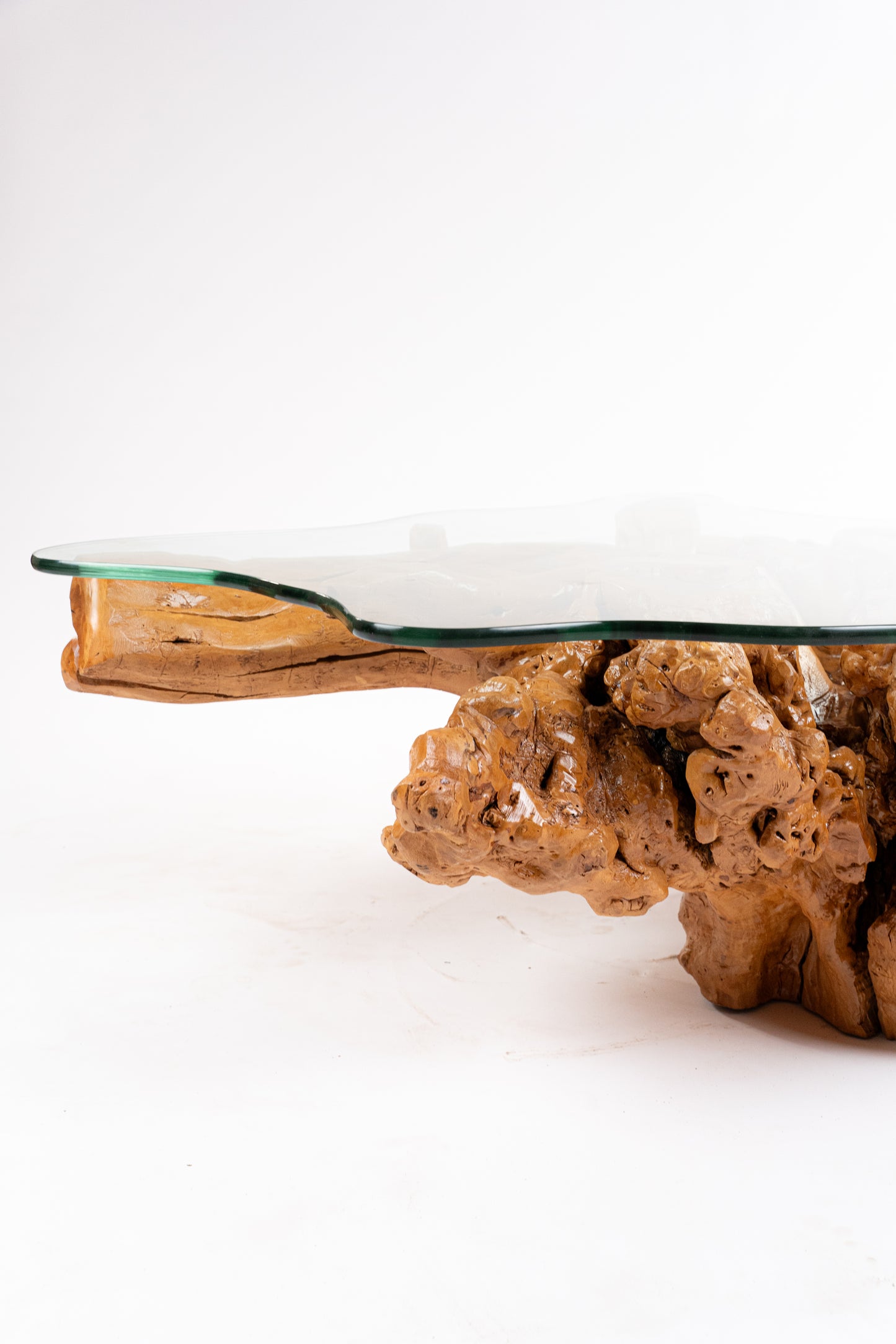 Madagascar Root Table