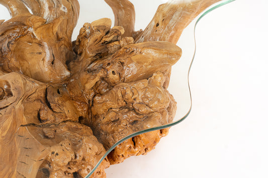 Madagascar Root Table