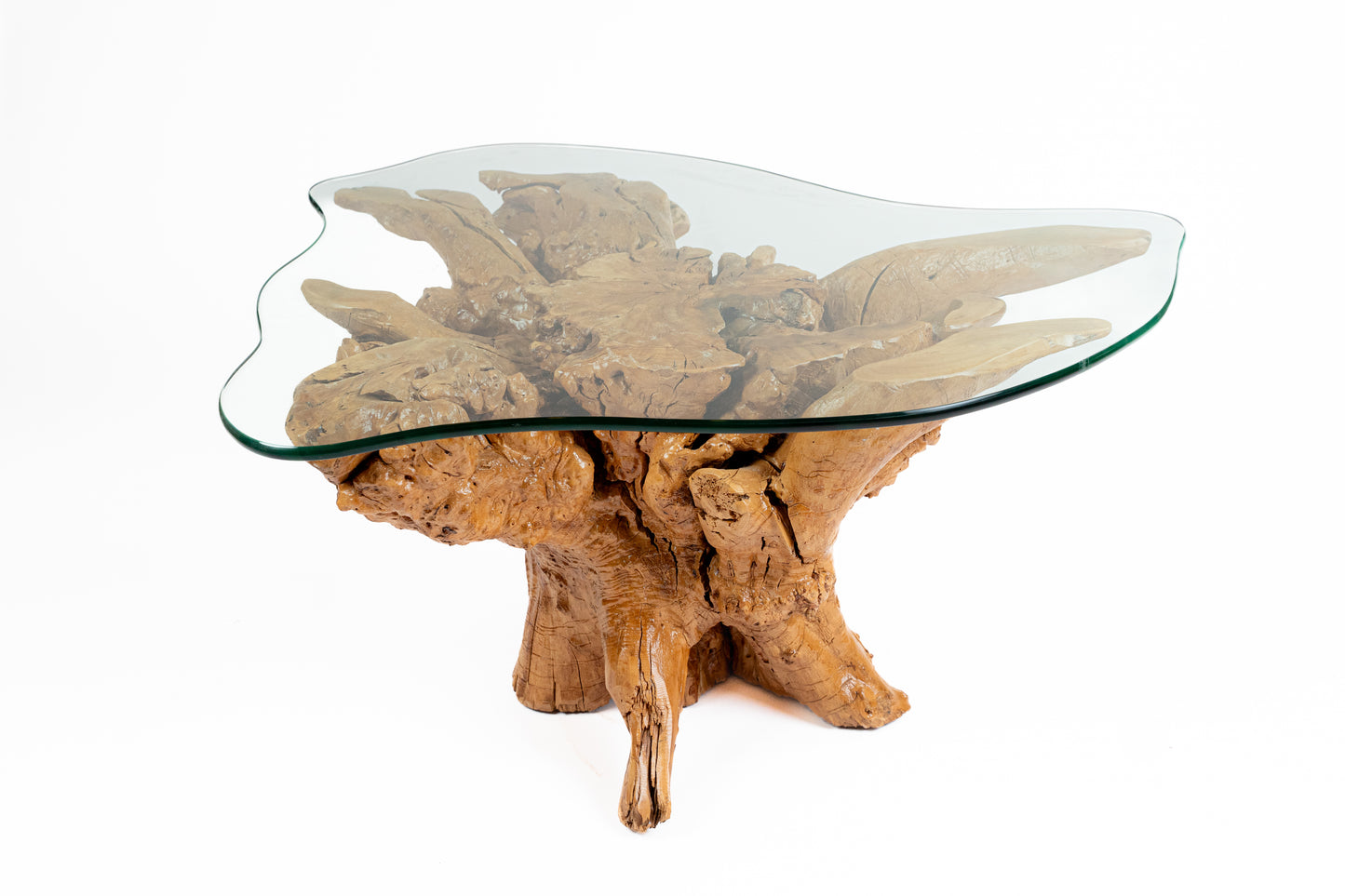 Amazons Root Table