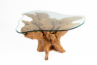 Amazons Root Table