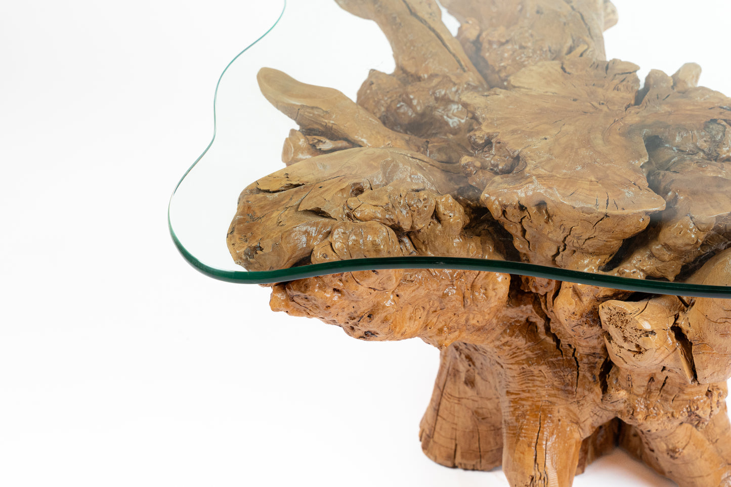 Amazons Root Table
