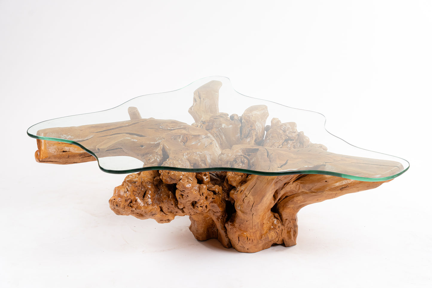 Madagascar Root Table