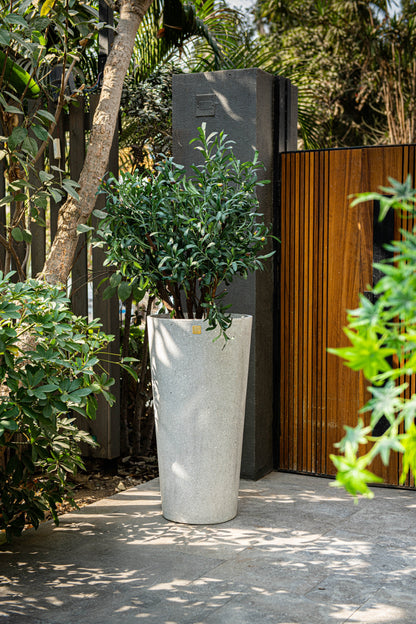 Montu Terrazzo