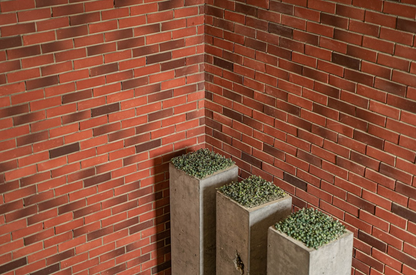 Cultured Bricks Rustic Red